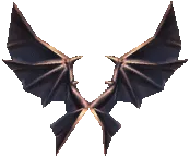 Item 12/5